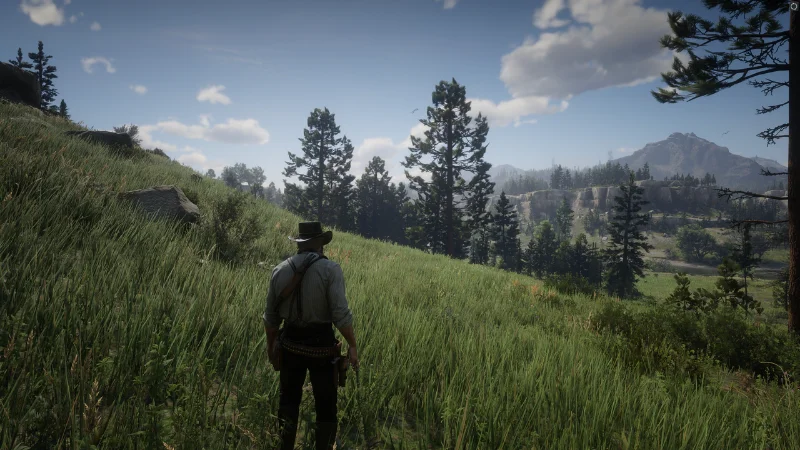 Red Dead Redemption 2 gameplay gameplay