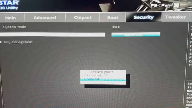 Secure boot enabled Biostar BIOS Secure Boot set to enabled