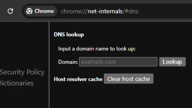 Chrome net internals DNS page with clear host cache button