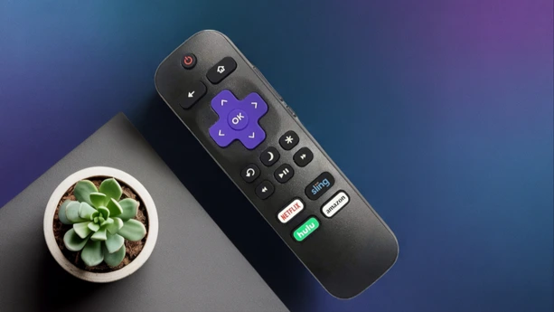 Close up of Roku remote on desk beside small plant