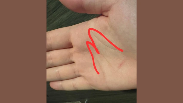 close view of a palm with an m shape traced in red